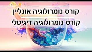 קורסים ומדריכים